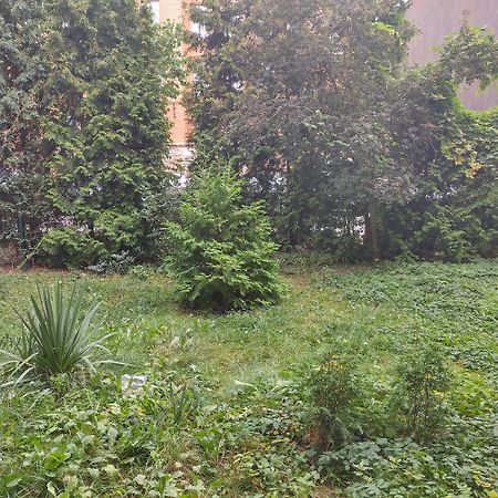Stary Toruń Apartament Przedzamcze מראה חיצוני תמונה