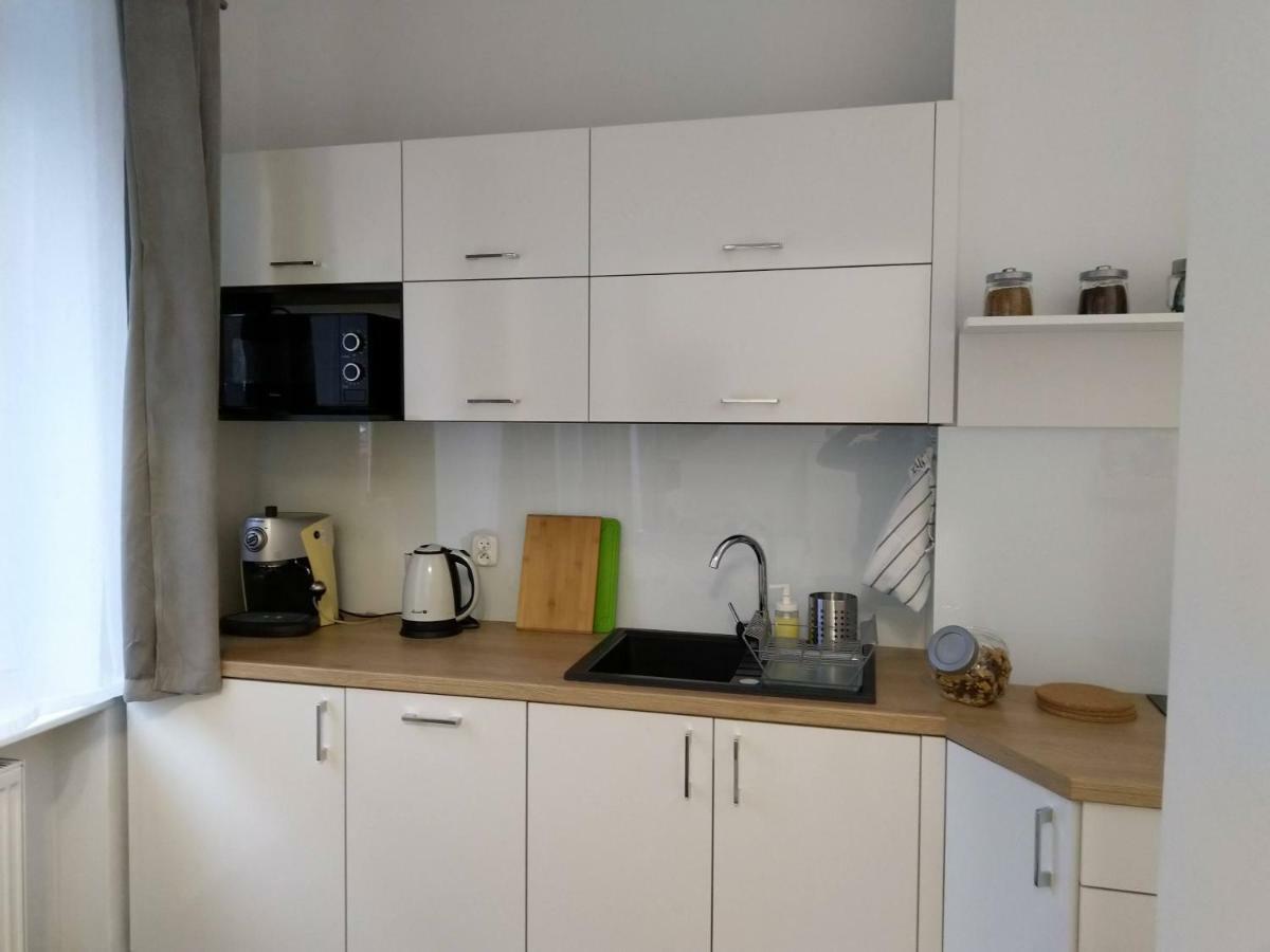 Stary Toruń Apartament Przedzamcze מראה חיצוני תמונה